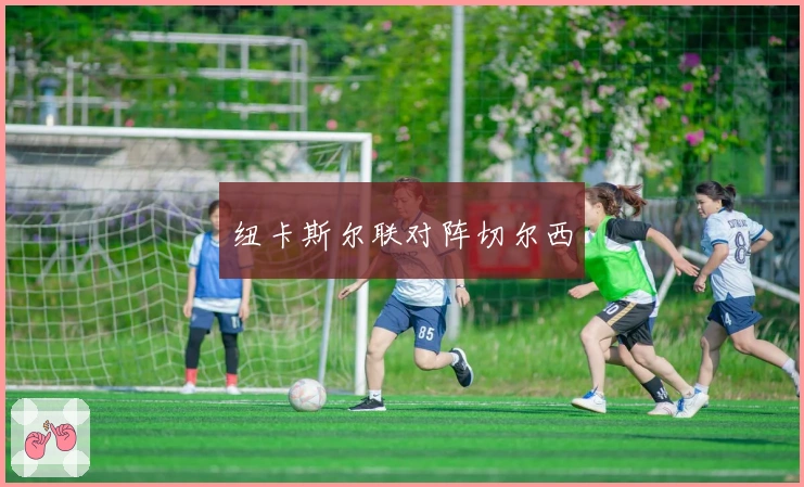 纽卡斯尔联对阵切尔西